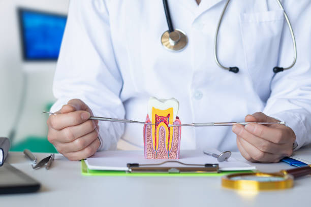 Best Emergency Broken Tooth Repair in Gilbert, MN